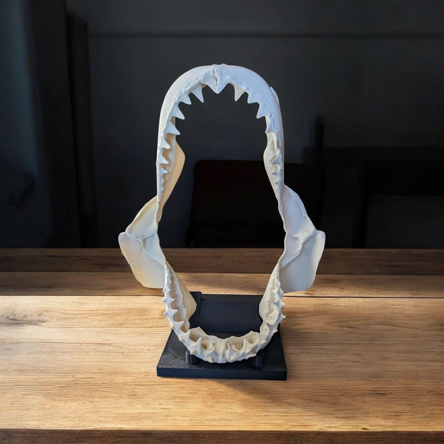 Great White Shark Jaw Replica | 33cm Large Skull Model | Marine Décor