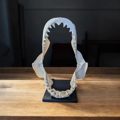 Great White Shark Jaw Replica | 33cm Large Skull Model | Marine Décor