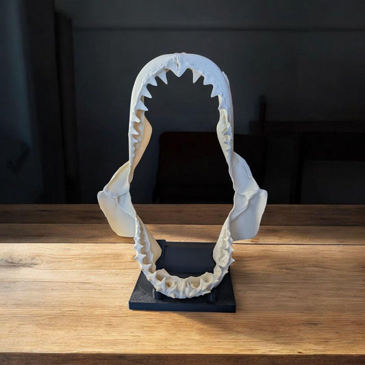 Great White Shark Jaw Replica | 33cm Large Skull Model | Marine Décor