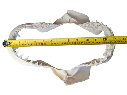 Great White Shark Jaw Replica | 33cm Large Skull Model | Marine Décor